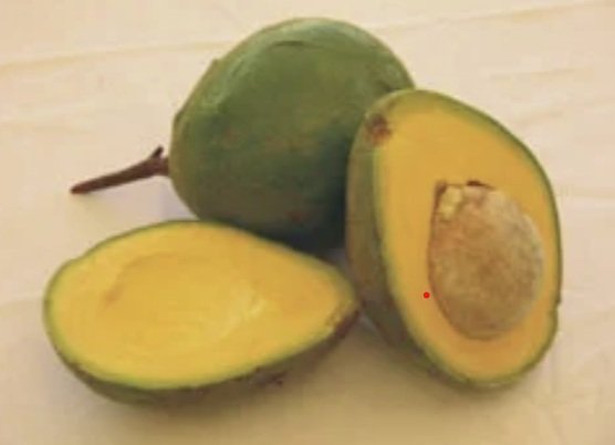 Alpukat